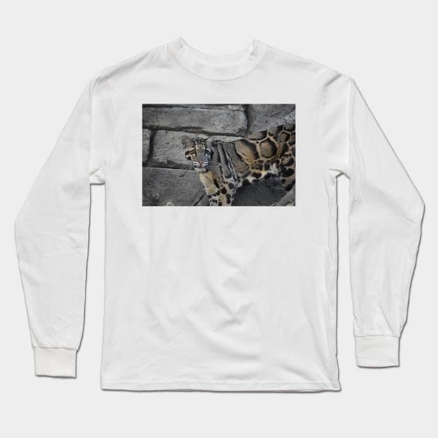 Clouded Leopard Long Sleeve T-Shirt by Sharonzoolady